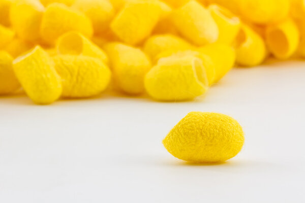 Кокон шелкопряда
.