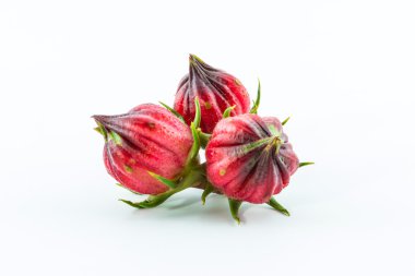 Hibiscus sabdariffa veya roselle meyve.