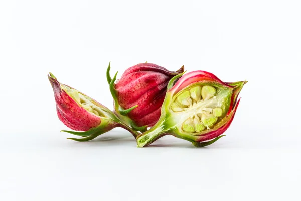 Hibiscus sabdariffa ou frutos silvestres . — Fotografia de Stock