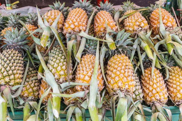 Groep van verse ananas (ananases). — Stockfoto