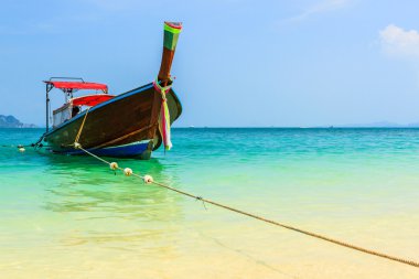 uzun kuyruklu tekne.