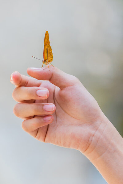 Красивая бабочка сидит на пальце девушки
.
