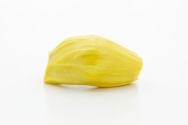 nefesi, artocarpus heterophyllus.