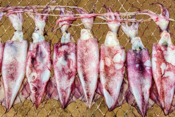 Calamares secos en Tailandia . —  Fotos de Stock