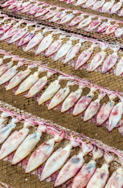 Dried Squid in Thailand. — Stock Photo, Image