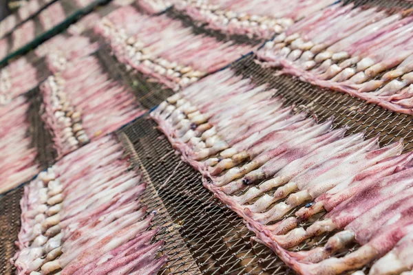 Dried Squid in Thailand. — Stock Photo, Image