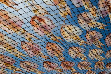 Tayland kurutulmuş kalamar.