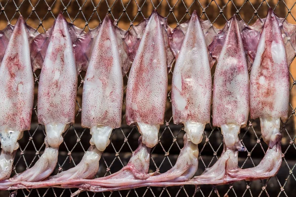 Calamares secos en Tailandia . —  Fotos de Stock