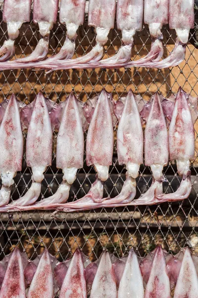 Getrockneter Tintenfisch in Thailand. — Stockfoto