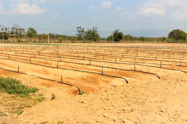 Boerderij land voor de landbouw. — Stockfoto