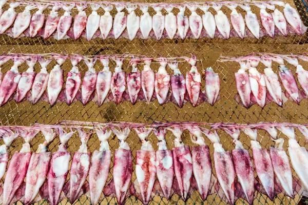 Getrockneter Tintenfisch in Thailand. — Stockfoto