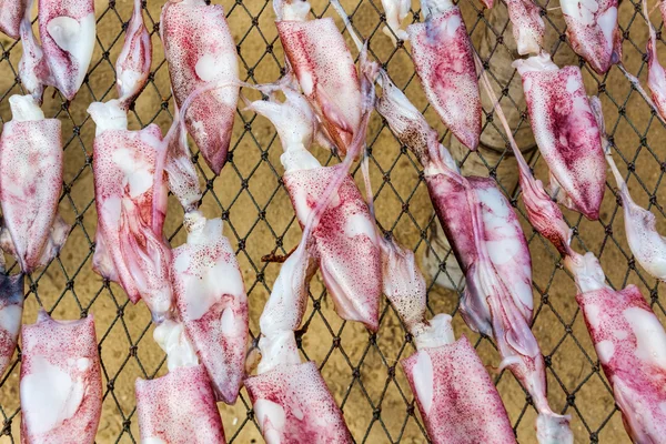 Getrockneter Tintenfisch in Thailand. — Stockfoto