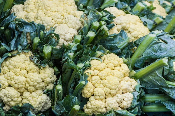 Group of fresh cauliflower. — Stock Photo, Image