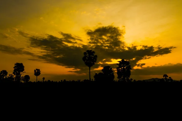 Bunter Himmel bei Sonnenuntergang. — Stockfoto