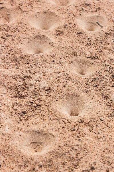 Sandgropen fällor. — Stockfoto