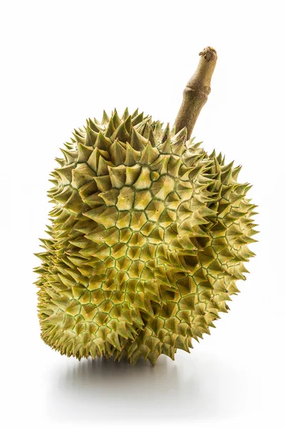 Roi des fruits, durian . — Photo