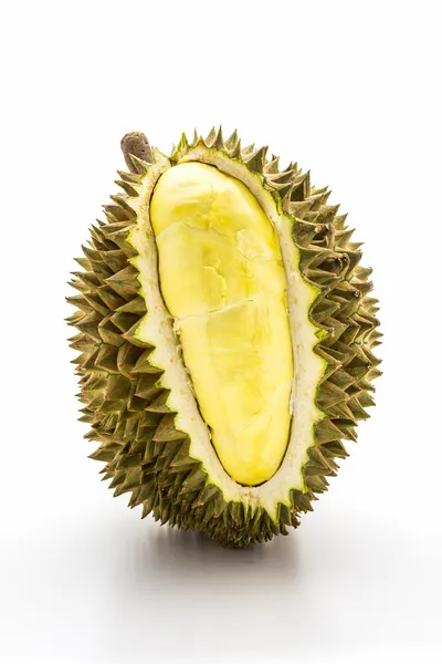 König der Früchte, Durian auf weißem Hintergrund. — Stockfoto