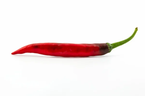 Röd het chilipeppar. — Stockfoto