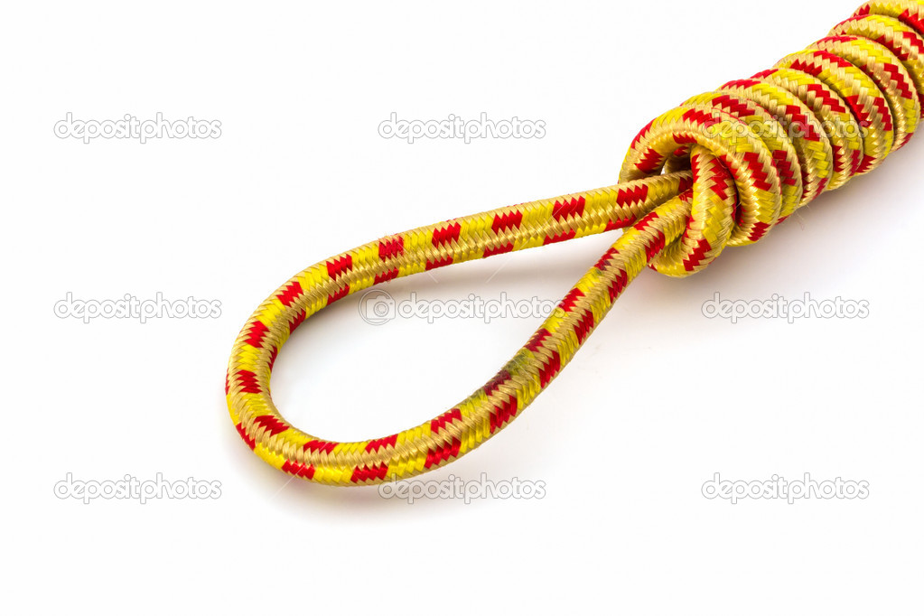 Elastic straps rope with metal hooks.