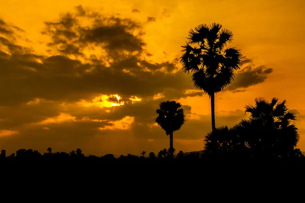 Cielo colorido al atardecer . —  Fotos de Stock