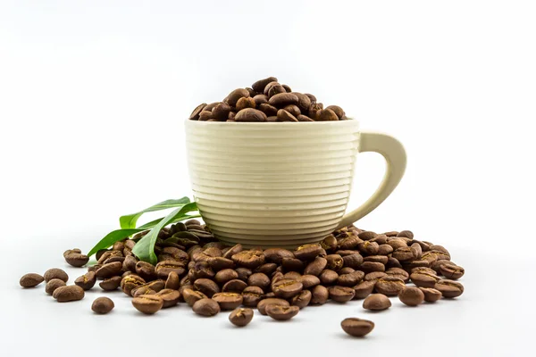 Graines de café torréfiées brunes dans une tasse de café — Photo