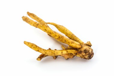 fingerroot, kaempfer, boesenbergia, Tay herb.