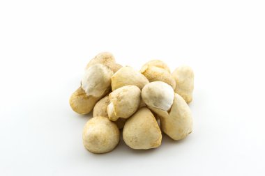 pirinç taze saman mantar, volvariella volvacea.