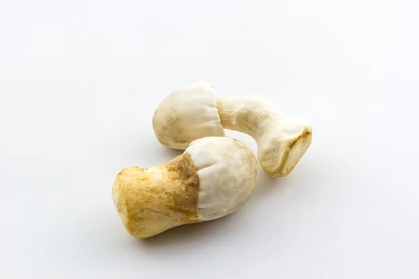 Fresh rice straw mushrooms,Volvariella volvacea. — Stock Photo, Image