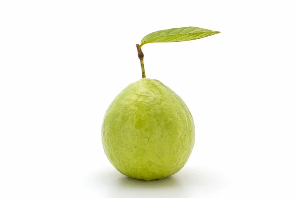 Guava — Stock Photo, Image