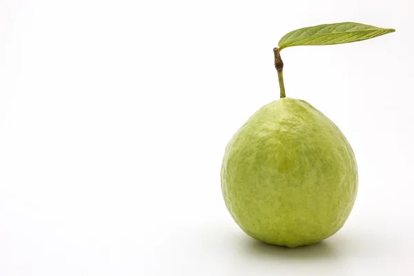 Guayaba sobre fondo blanco. — Foto de Stock