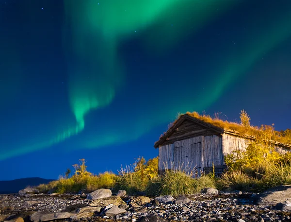 Kuzey ışıkları .tromso ile aydınlatılmış çadır