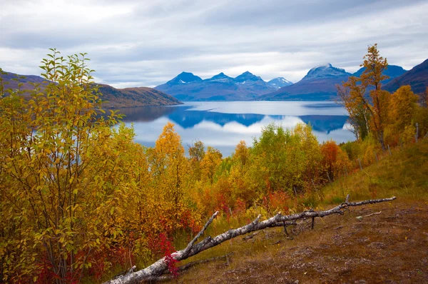 Naturaleza del norte de Noruega — Foto de Stock