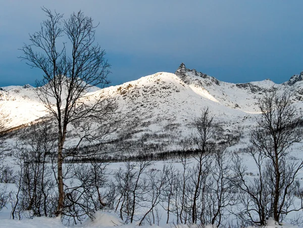 Montagnes dans le nord de la Norvège . — Photo