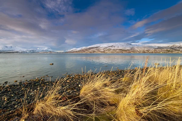 Coast of the Norwegian Sea — Stock Photo, Image