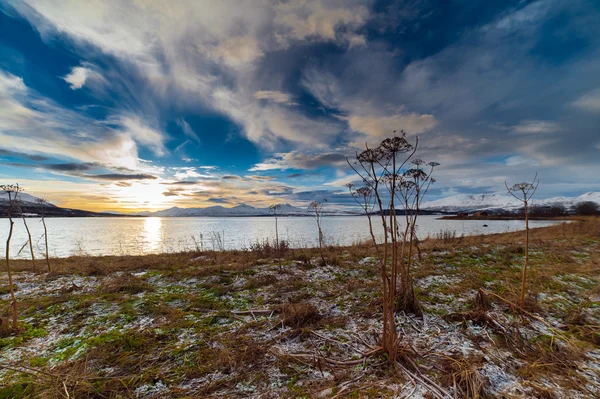 Küste des norwegischen Meeres — Stockfoto