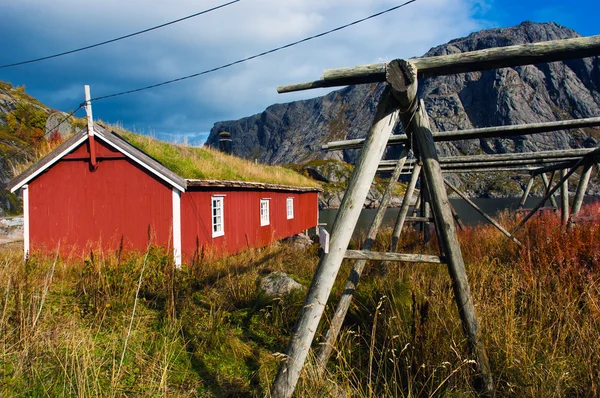 Cabañas típicas de rorbu rojo con techo de césped en la ciudad de Reine en las islas Lofoten en Noruega —  Fotos de Stock