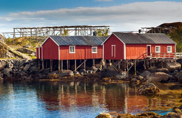 Cabañas típicas de rorbu rojo con techo de césped en la ciudad de Reine en las islas Lofoten en Noruega — Foto de Stock