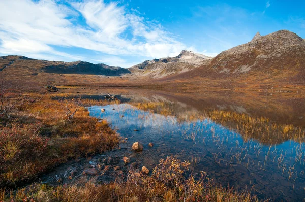 Příroda severního Norska — Stock fotografie