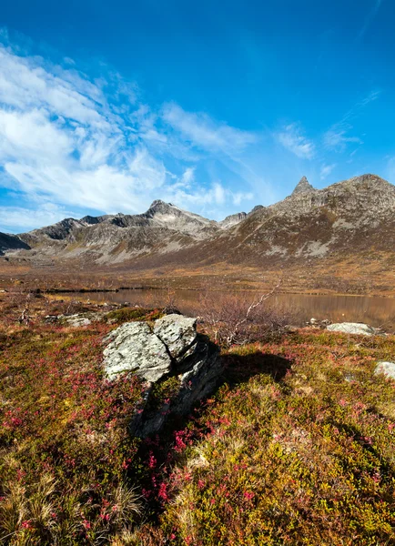 Nature of northern Norway — Stock Photo, Image