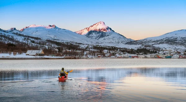 Norveç Denizi kıyısında — Stok fotoğraf