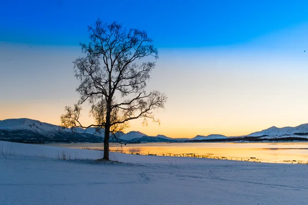 Norra nedgång — Stockfoto