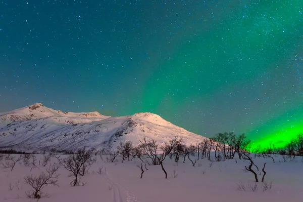 Les lumières polaires en Norvège — Photo