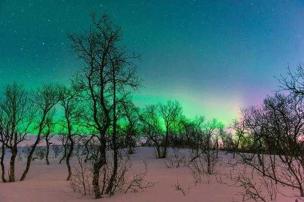 Norveç Kutup ışıkları — Stok fotoğraf