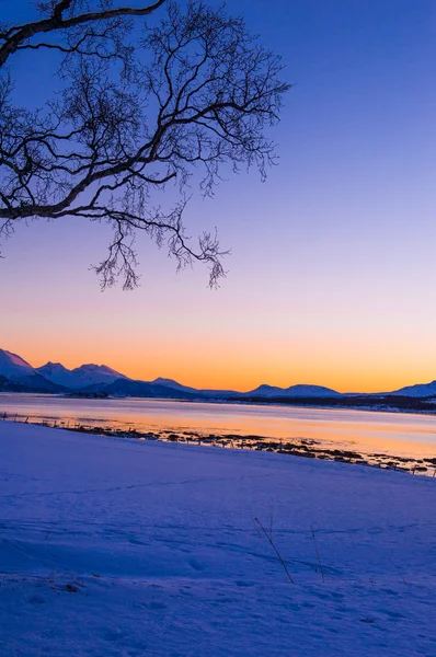 Winter rising.Tromso — Stock Photo, Image