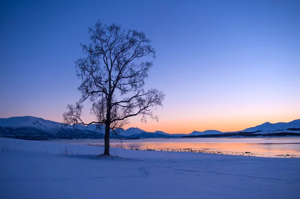 Norra nedgång — Stockfoto