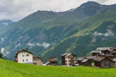 La adaçayı. Switzerland.Valais