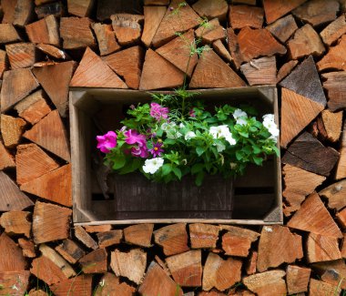 ceppi del camino per periodo invernale