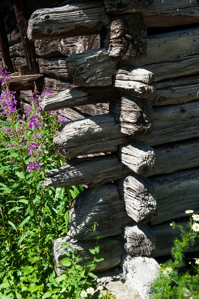Tekstury drewna, La Sage — Zdjęcie stockowe
