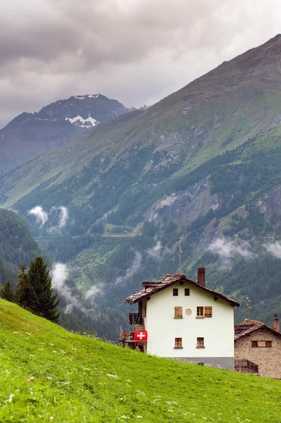 La salvia. Schweiz..Valais — Stockfoto