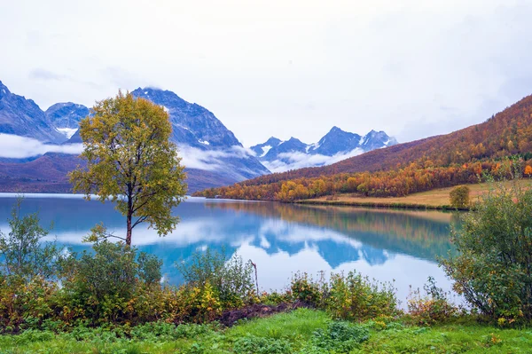 Coast of the Norwegian Sea — Stock Photo, Image